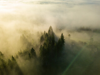 Foggy summer morning in the Ukrainian Carpathians. Aerial drone view.