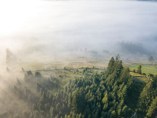 Fog envelops the mountain forest. The rays of the rising sun break through the fog. Aerial drone view.