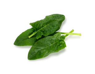 Spinach leaf isolated on white background. Fresh green spinach Top view. Flat lay.