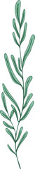 Plant Branch with Green Leaves Hand Drawn Illustration