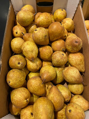 big choice of fresh fruits and vegetables on market counter