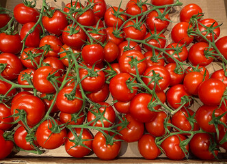 big choice of fresh fruits and vegetables on market counter
