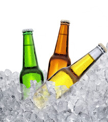 Three bottles of beer on ice cubes. Isolated on white background