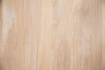 Close-up texture of natural birch veneer.