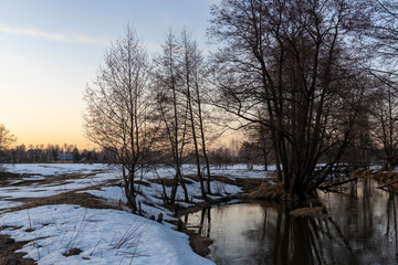 Early spring landscape. Melting snow and thawed patches in forest at sunset. Spring concept. Thawed patches.