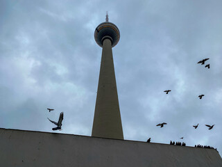 Berlin Tower from a bottom top view with birds as a symbol for freedom