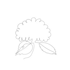 Floral silhouette art line. Flowers in continuous line drawing style. Border with tropical flower. Minimalist black linear sketch. Trendy vector illustration isolated. Contour graphics for design