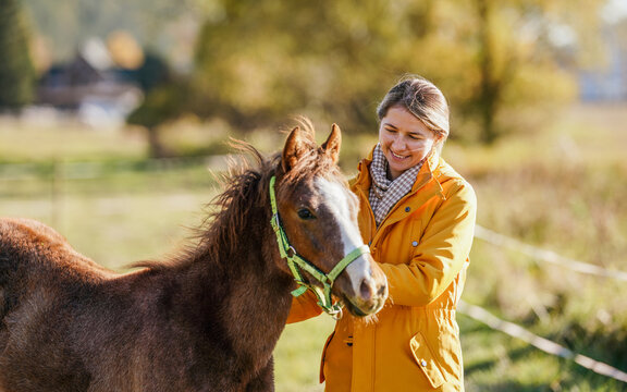 Small brown Arabian horse foal, young woman in yellow orange jacket standing next, blurred sun lit autumn trees background