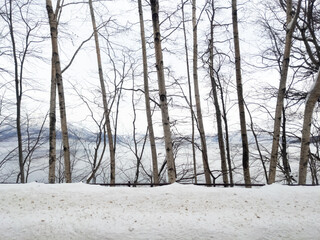 Lake seen beyond snowy street trees (Chitose, Hokkaido, Japan)