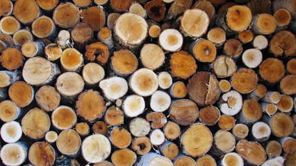 logging. deforestation. close-up of piled chunks of wood billet