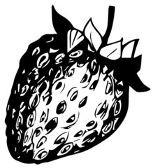 Strawberry hand drawn vector illustration