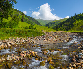 small brook rushing over a stones in mountain valley, natural travel scene