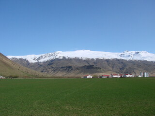 Beautiful landscape, green grass and a snow-covered mountain in the distance