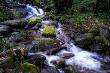 waterfall in the forest