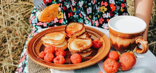 Summer picnic with pancakes, jam, berries and milk in nature. Sweet summertime, vacation, outdoor recreation, countryside concept. Banner.	