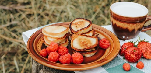 Summer picnic with pancakes, jam, berries and milk in nature. Sweet summertime, vacation, outdoor recreation, countryside concept. Banner.	