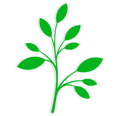 Ecology symbol and environment concept. Green branch with leaves simple botanical vector illustration isolated on white. Floral design element for print, background, banner or card.