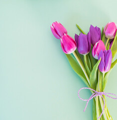 pink and violet tulips on grey ground with space for text