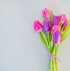 pink and violet tulips on grey ground with space for text