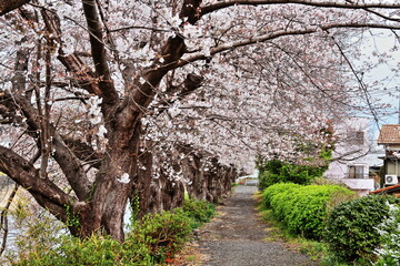 I felt spring in the air
