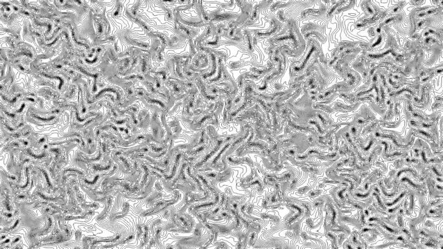 Inside the life of viruses