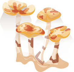 Exotic Magical Fairy Tale Mushroom Colored Illustration