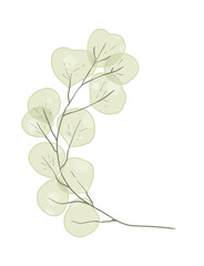 Branch leaves eco green in watercolor style on white background. Leaves on a branch to decorate the design. High quality illustration