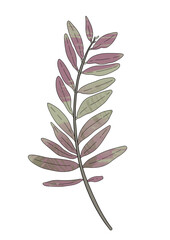 Branch leaves eco green lilac in watercolor style on white background. Leaves on a branch to decorate the design. High quality illustration
