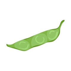 pea green vegetable isolated vector color