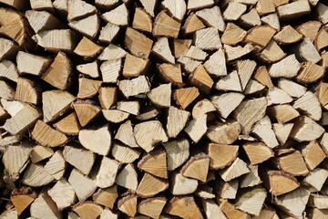 stack of wood for the winter