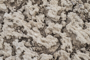 Dried and drained agricultural soil. Ground structure, full-frame background