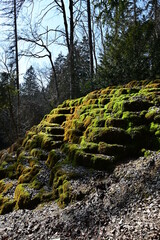 Kalktuffterrasse Hoher Brunnen bei Sollngriesbach, Berching, Deutschland