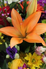 orange lily flowers