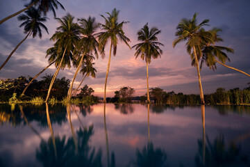 Fototapeta na wymiar Water reflection of coconut palm trees in swimming pool with lake view at sunset. Tourist resort in beautiful tropical nature. .
