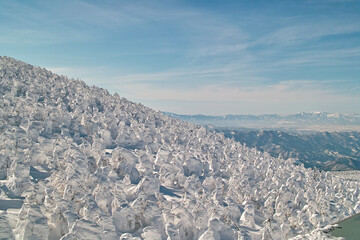 蔵王の樹氷（山形県）Snow monster