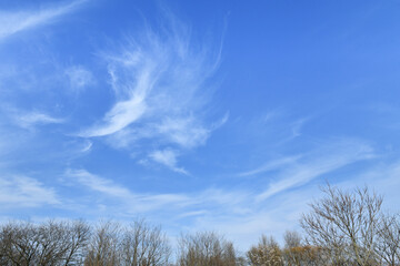 真っ白な雲と水色の空