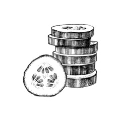 Hand drawn sliced cucumber illustration