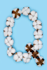 Letter Q made of cotton flowers and isolated on solid blue background. Floral alphabet concept. One letter of the set of cotton font easy to stacking.