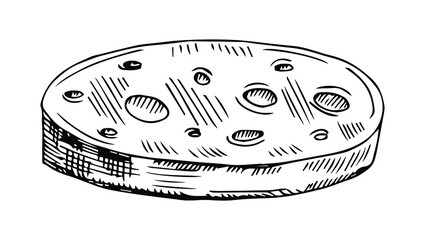 cheese sliced hand drawing. vector illustration.