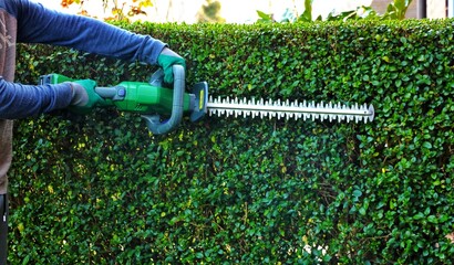 A gardener wearing safety gloves and cutting garden shrubs with a cordless hedge trimmer.