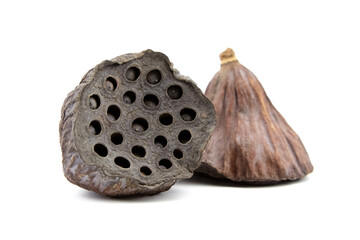 Dried lotus flower seed pods isolated on white