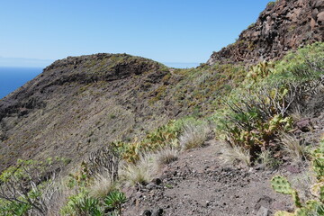 Fototapeta na wymiar Berglandschaft bei Agaete auf Gran Canaria