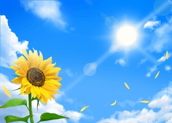 雲のある青空に飛行機雲ー太陽の下美しいひまわりが咲く初夏フレーム背景素材 - obrazy, fototapety, plakaty