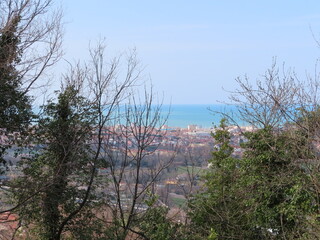 scorcio