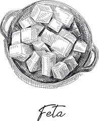 Feta cheese plate. Sketchy vector hand-drawn illustrations.