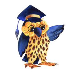 Hand painted watercolor illustration. A learned owl teacher in a cap of a master of science, points with a wing. Cute cartoon character. Decorative element Drawn on white background.