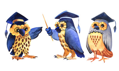 Set of decorative elements. Three characters owls teacher in professors cap science. Indicates, explains, reflects. Cute cartoon characters. Hand painted watercolor illustration, white background