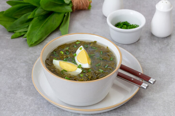 Green Sorrel soup with boiled eggs wedges in white bowl. Selective focus, bunch of fresh sorrel on background.