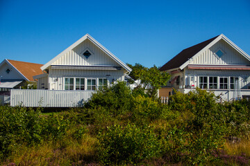 Fototapeta premium house on the hill