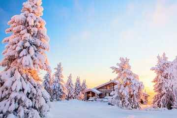 Winter landscape in Finland - obrazy, fototapety, plakaty